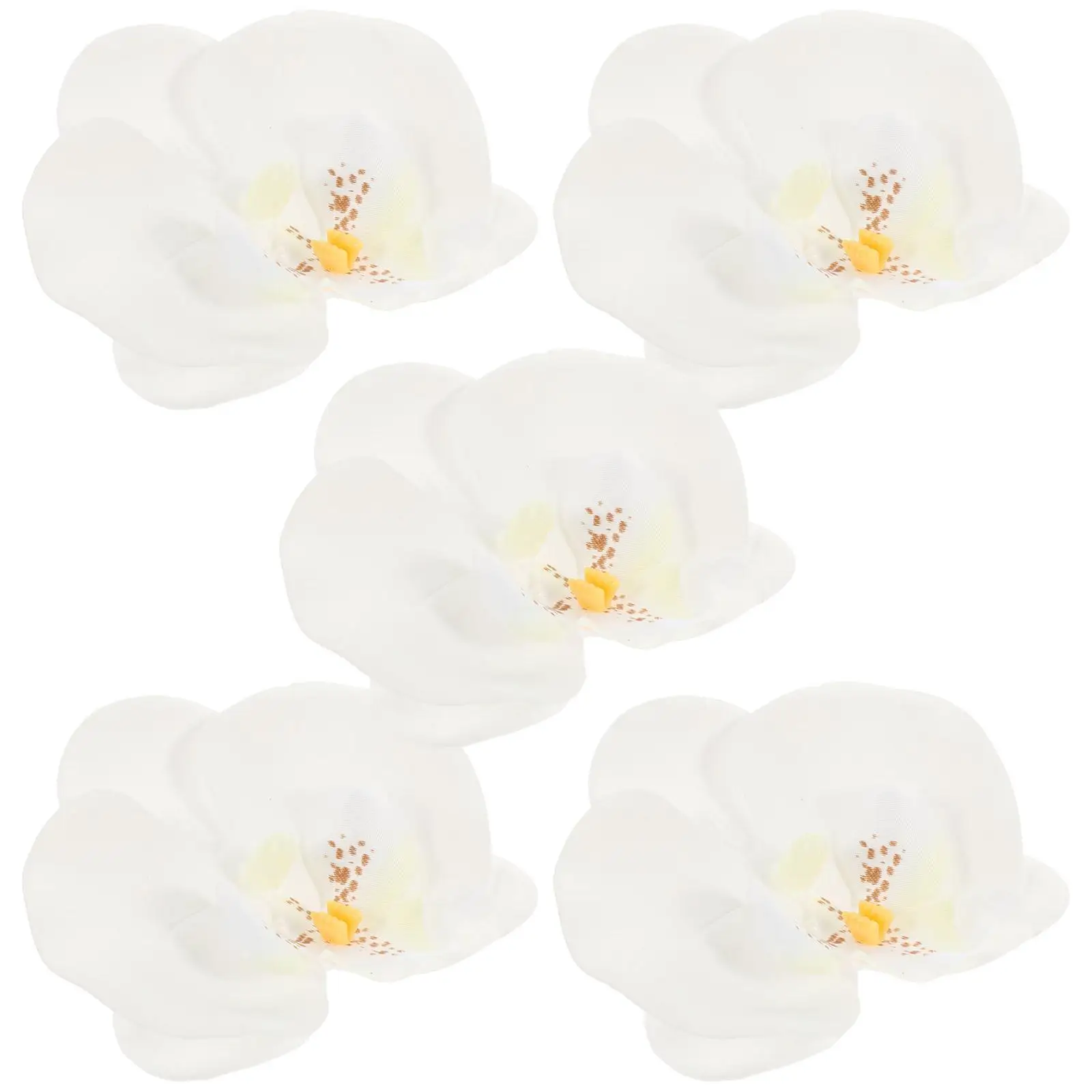 Orchids Phalaenopsis Heads for Crafts Accessories White Silk Flower Small Faux Flowers
Orchids Phalaenopsis Heads for Crafts Accessories White Silk Flower Small Faux Flowers
