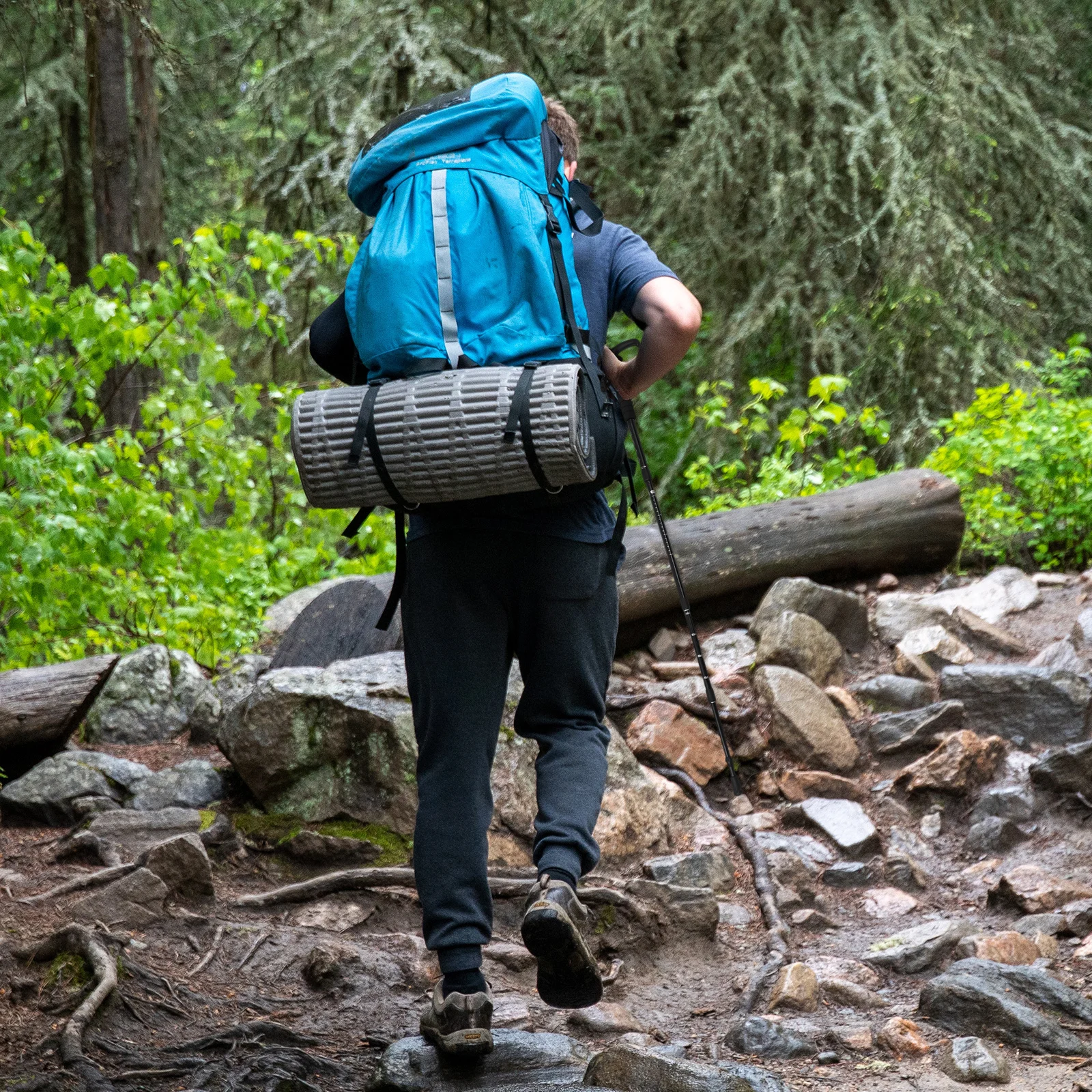 1pc Hiking Lightweight Aluminum Alloy Trekking Pole For Camping Mountaineering Outdoor Walking -
1pc Hiking Lightweight Aluminum Alloy Trekking Pole For Camping Mountaineering Outdoor Walking -