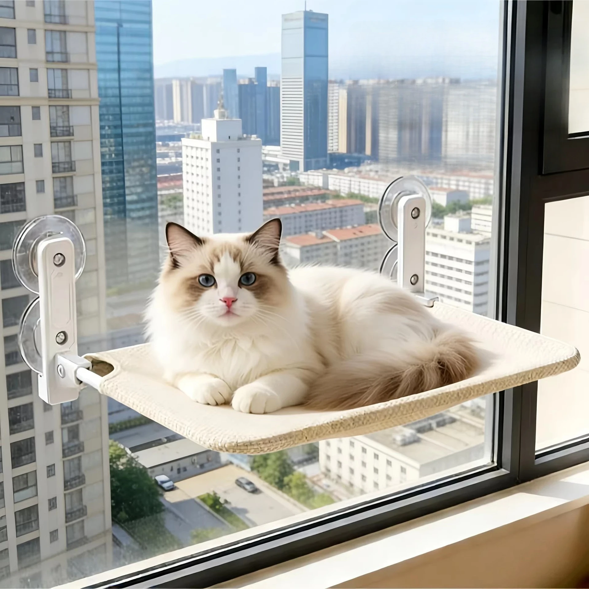 Suction Cup Hanging Bed Cat Hammock Windowsill Balcony Glass Edge Sun Cat Nest Pet Cat Supplies
Suction Cup Hanging Bed Cat Hammock Windowsill Balcony Glass Edge Sun Cat Nest Pet Cat Supplies