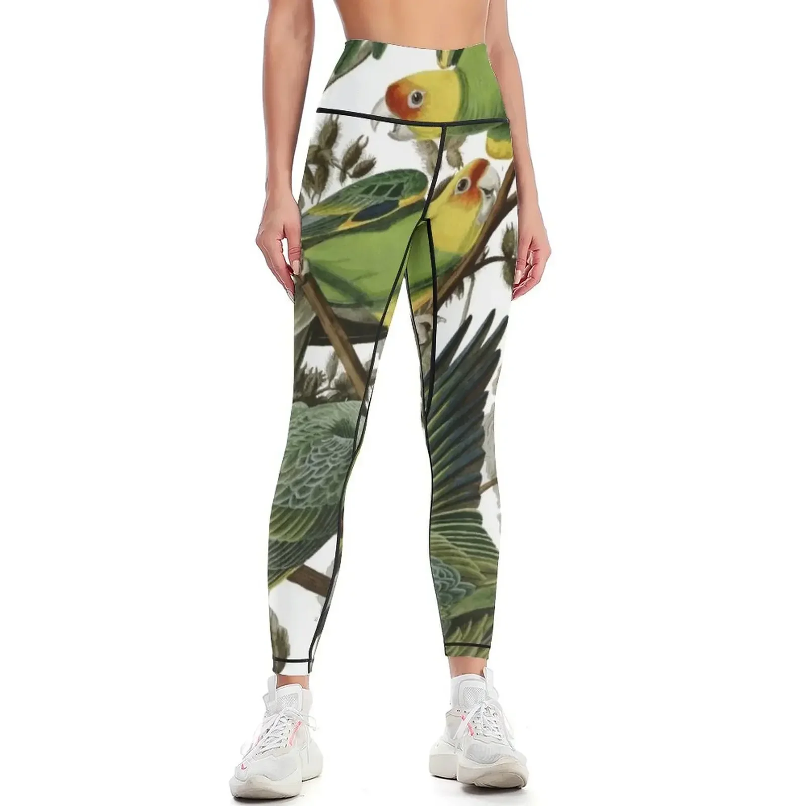 Audubon's Carolina Parakeet Leggings joggers for legging push up Women sportwear Women sports Womens Leggings
Audubon's Carolina Parakeet Leggings joggers for legging push up Women sportwear Women sports Womens Leggings