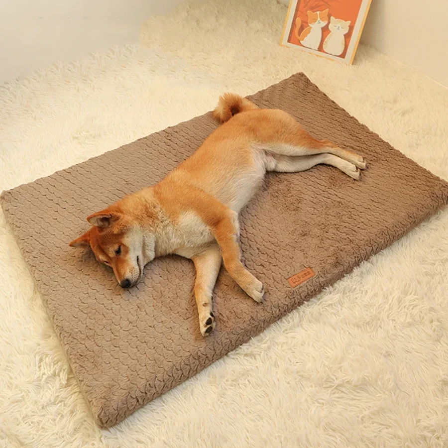 Short Plush Removable Washable Pet Bed, High Elasticity Non-Collapse Dog Bed, Suitable For Small And Medium Dogs and Cats
Short Plush Removable Washable Pet Bed, High Elasticity Non-Collapse Dog Bed, Suitable For Small And Medium Dogs and Cats