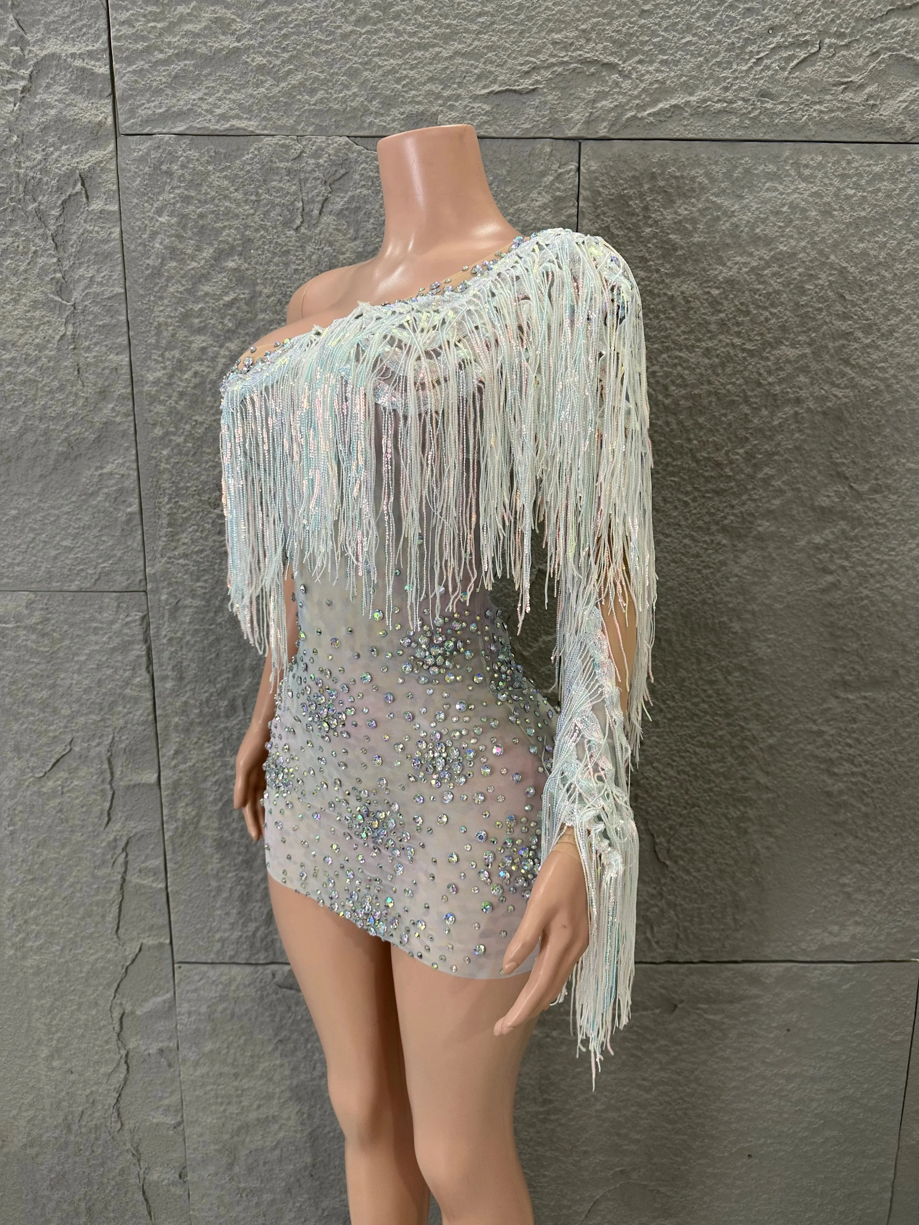 Sparkly Sexy One Shoulder Nude Sheer Mesh Mini Dress Women Iridescent Fringe Rhinestone Embellished Bodycon Party Costume
Sparkly Sexy One Shoulder Nude Sheer Mesh Mini Dress Women Iridescent Fringe Rhinestone Embellished Bodycon Party Costume