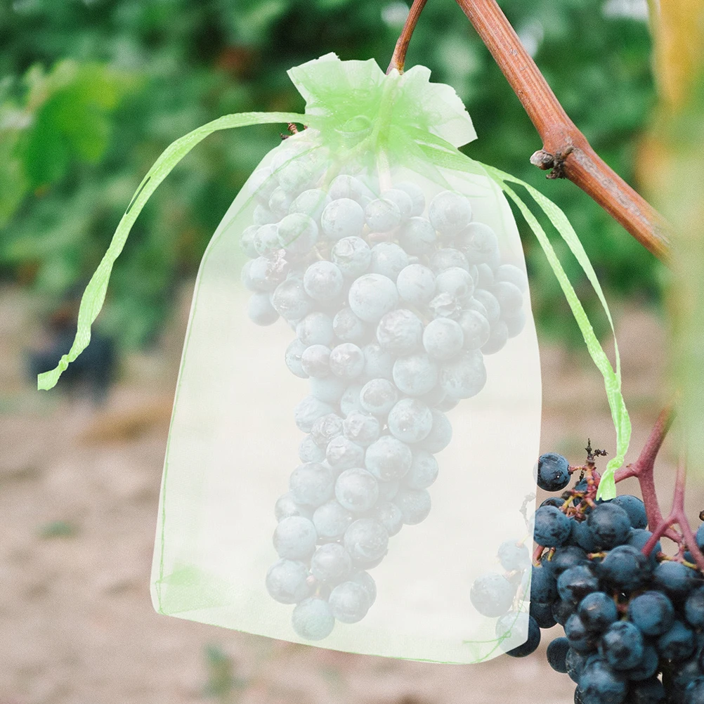 50 Pcs Bird-proof -proof Mesh Bag Trees Netting Nets to Protect Filling Garden Bags for Shopping
50 Pcs Bird-proof -proof Mesh Bag Trees Netting Nets to Protect Filling Garden Bags for Shopping