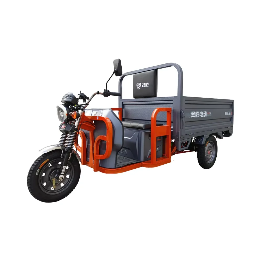 Adult Three-Wheeler Electric Tricycle Open Body Cargo Bike Direct From Manufacturer
Adult Three-Wheeler Electric Tricycle Open Body Cargo Bike Direct From Manufacturer