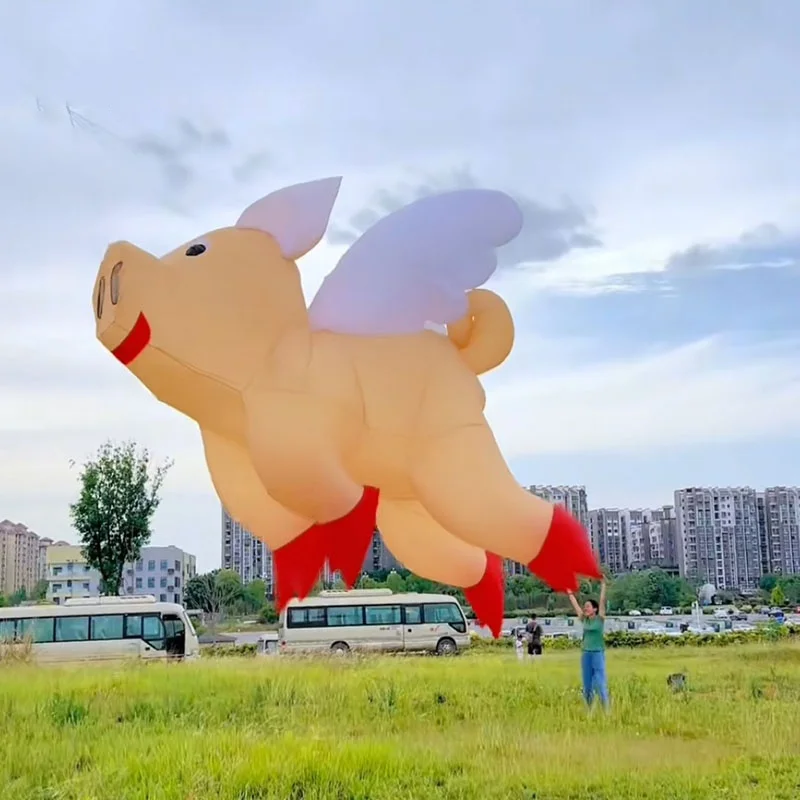 Надувной воздушный змей-подвеска «Летающая свинья» 3 м для взрослых, для выступлений и соревнований
Надувной воздушный змей-подвеска «Летающая свинья» 3 м для взрослых, для выступлений и соревнований