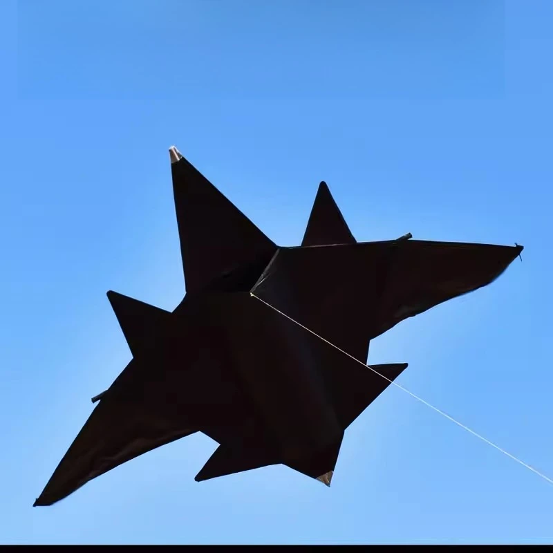 Kite plane, kite for adults, fighter jet large, high-end and large
Kite plane, kite for adults, fighter jet large, high-end and large