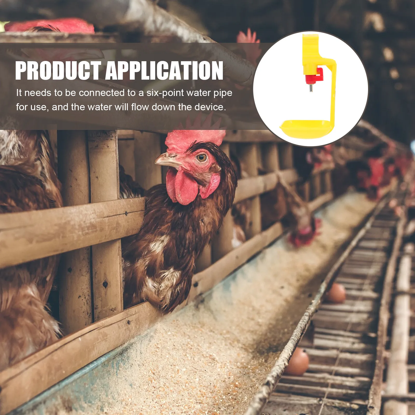 10 шт. автоматических поилок для кур, поилка для птицеферм, большая емкость, 360-градусный вращающийся шариковый ниппель
10 шт. автоматических поилок для кур, поилка для птицеферм, большая емкость, 360-градусный вращающийся шариковый ниппель