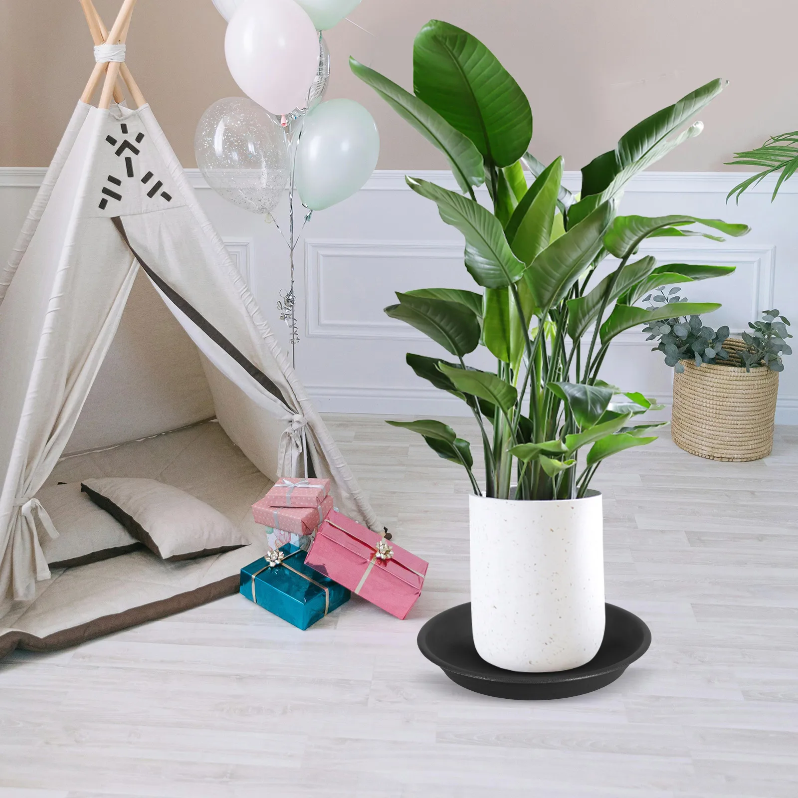 5 Pcs Thickened Water Tray Pot Saucers Flowerpot Planter Bottom Plates Drip Trays Potted Plants Catcher Plastic Trays
5 Pcs Thickened Water Tray Pot Saucers Flowerpot Planter Bottom Plates Drip Trays Potted Plants Catcher Plastic Trays