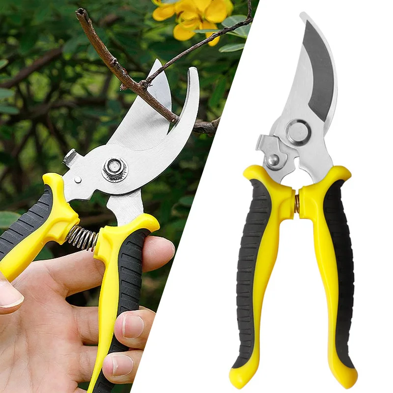 Professional Garden Scissors Pruner Sharp Bypass Pruning Shears Tree Trimmers Secateurs Hand Clippers Garden Beak Scissors
Professional Garden Scissors Pruner Sharp Bypass Pruning Shears Tree Trimmers Secateurs Hand Clippers Garden Beak Scissors