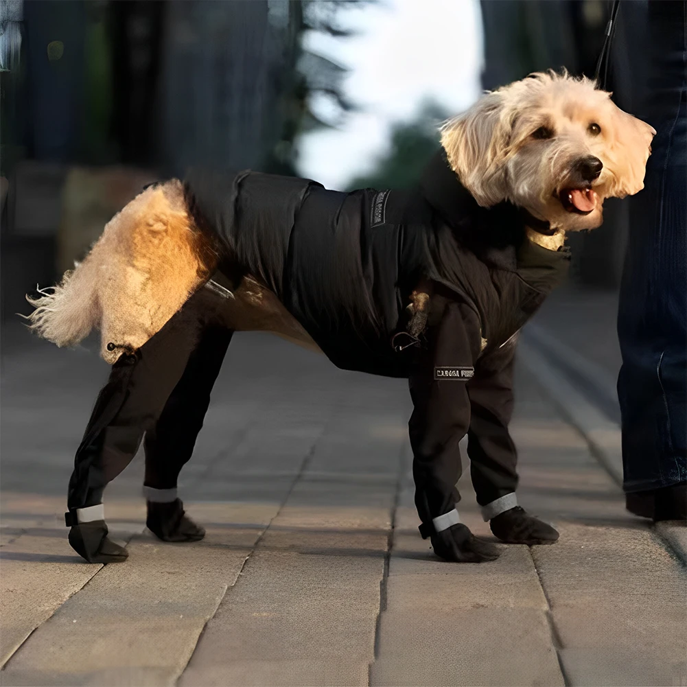 Dog Suspender Booties Waterproof Dog Boots Adjustable Dog Paw Protector Outdoor Walking Dog Boots for Small Medium Large Dog
Dog Suspender Booties Waterproof Dog Boots Adjustable Dog Paw Protector Outdoor Walking Dog Boots for Small Medium Large Dog
