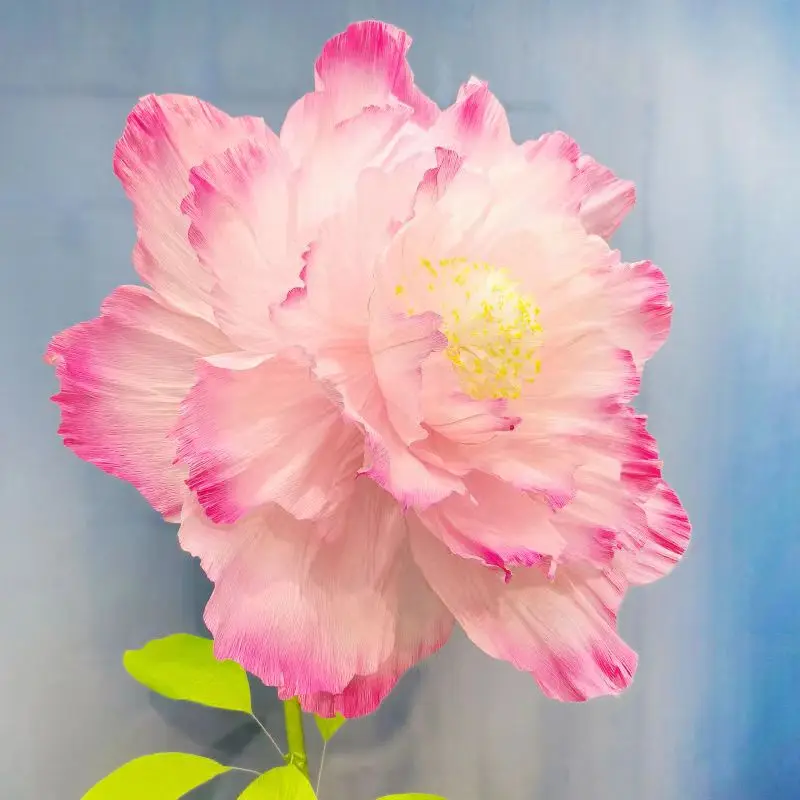 10 Pcs Crepe Paper Petal Artificial Peony Flower DIY Paper Flower Handmade Crafts Birthday Wedding Party Background Wall Decor
10 Pcs Crepe Paper Petal Artificial Peony Flower DIY Paper Flower Handmade Crafts Birthday Wedding Party Background Wall Decor