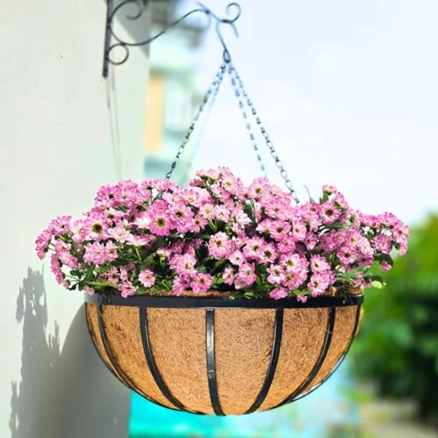 Outdoor Hanging Baskets for Plants 4 Pack 18 Inch Extra Large Black Metal Flat Iron Hanging Planter with Coco Liner Round Flowe
Outdoor Hanging Baskets for Plants 4 Pack 18 Inch Extra Large Black Metal Flat Iron Hanging Planter with Coco Liner Round Flowe