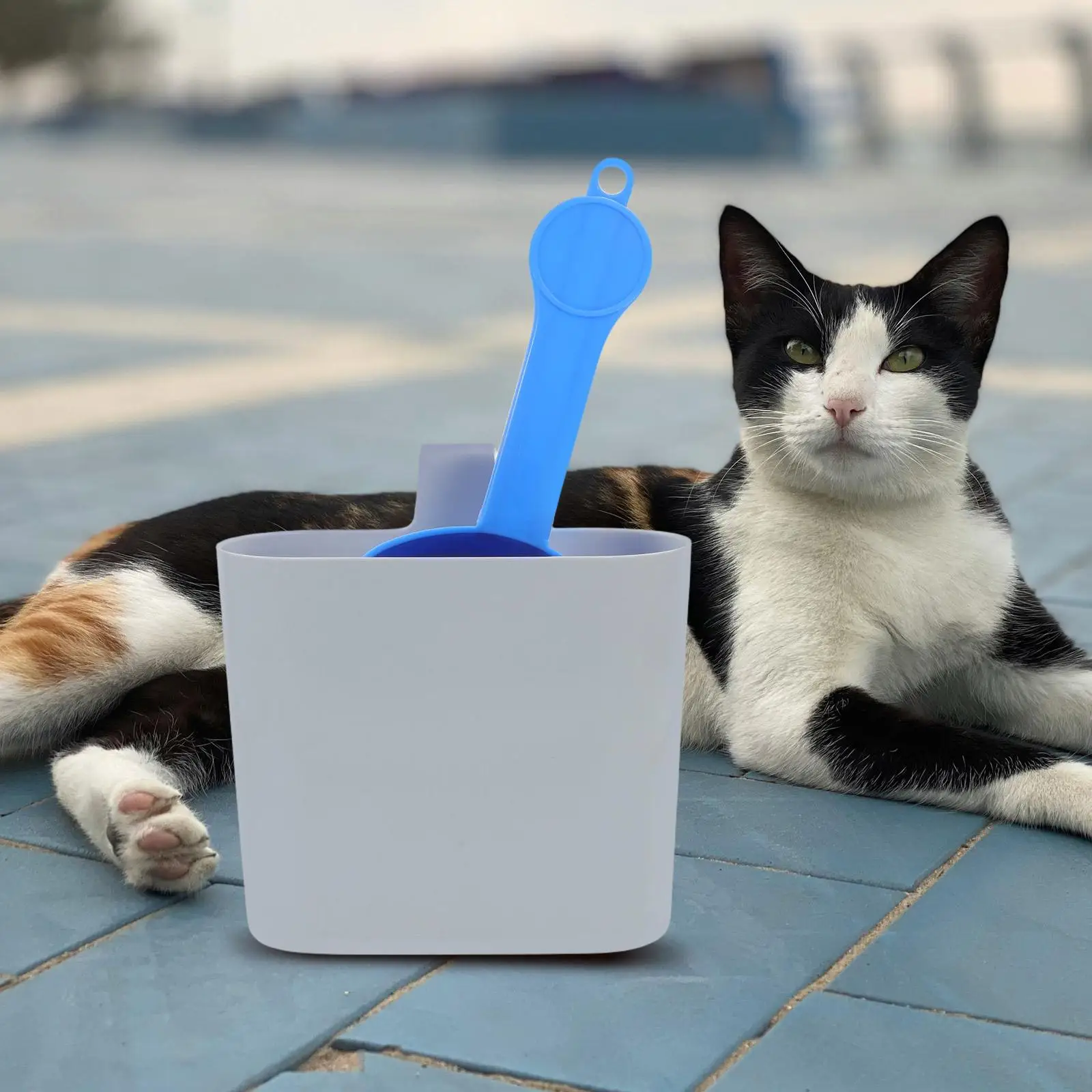 2Pcs Cat Litter Scoop Set Durable ABS Mesh Design Waste Removal Clumping Crystal Litter Safe Efficient Sifting Easy
2Pcs Cat Litter Scoop Set Durable ABS Mesh Design Waste Removal Clumping Crystal Litter Safe Efficient Sifting Easy