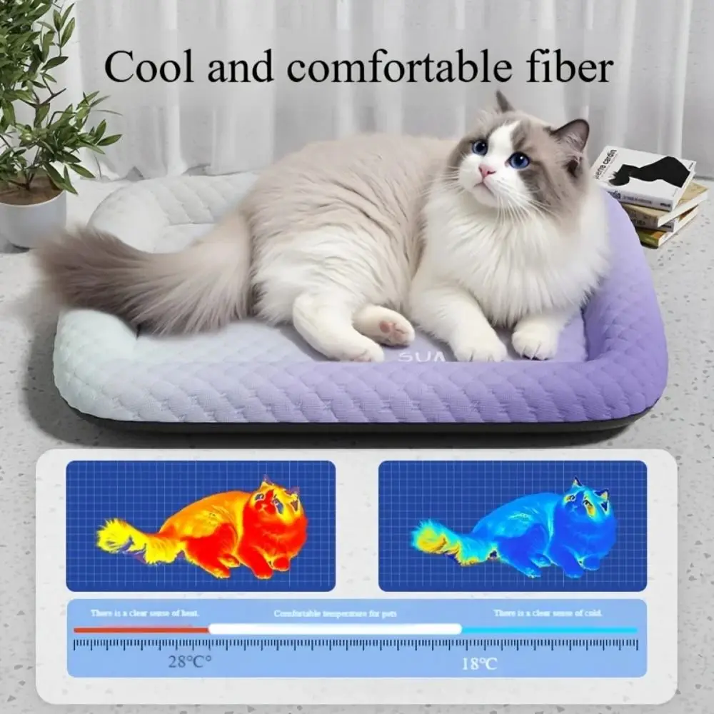 Cat House Mat Dopamine Pet Double-Sided Sleeping Mat Non-slip Breathable Dog Kennel Washable Soft Dog Bed Pet Shop
Cat House Mat Dopamine Pet Double-Sided Sleeping Mat Non-slip Breathable Dog Kennel Washable Soft Dog Bed Pet Shop