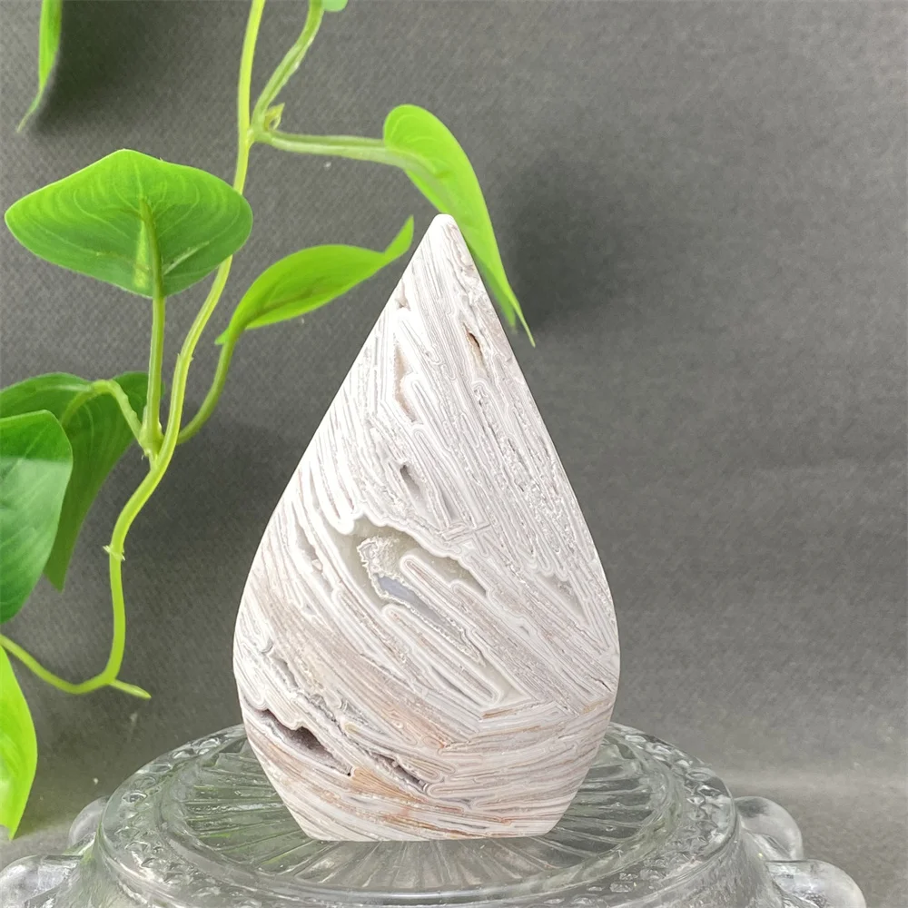 Natural White Agate Crystal Ornaments Mexican Style Halloween Feng Shui Home Decor High-Quality Stone Artifacts
Natural White Agate Crystal Ornaments Mexican Style Halloween Feng Shui Home Decor High-Quality Stone Artifacts