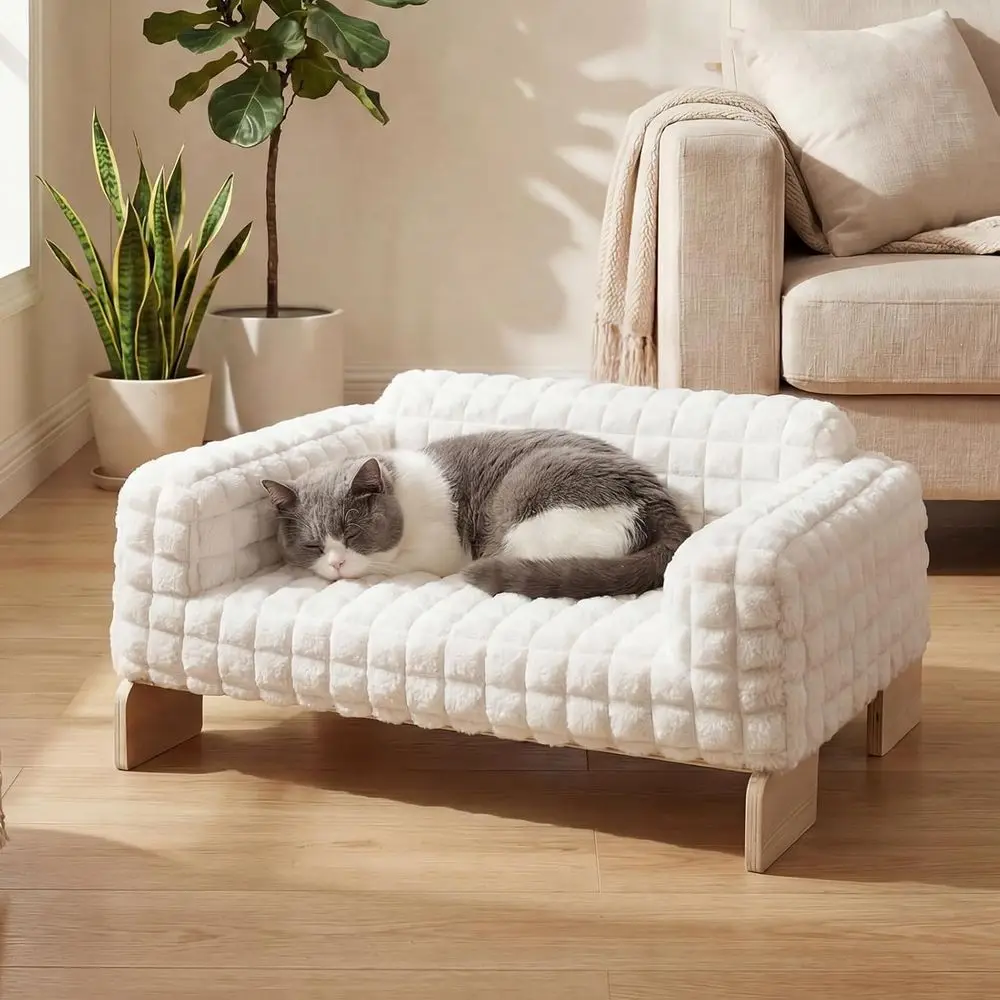Indoor Wooden Cat Sofa Bed with Removable, Washable Cover for Small Cats
Indoor Wooden Cat Sofa Bed with Removable, Washable Cover for Small Cats