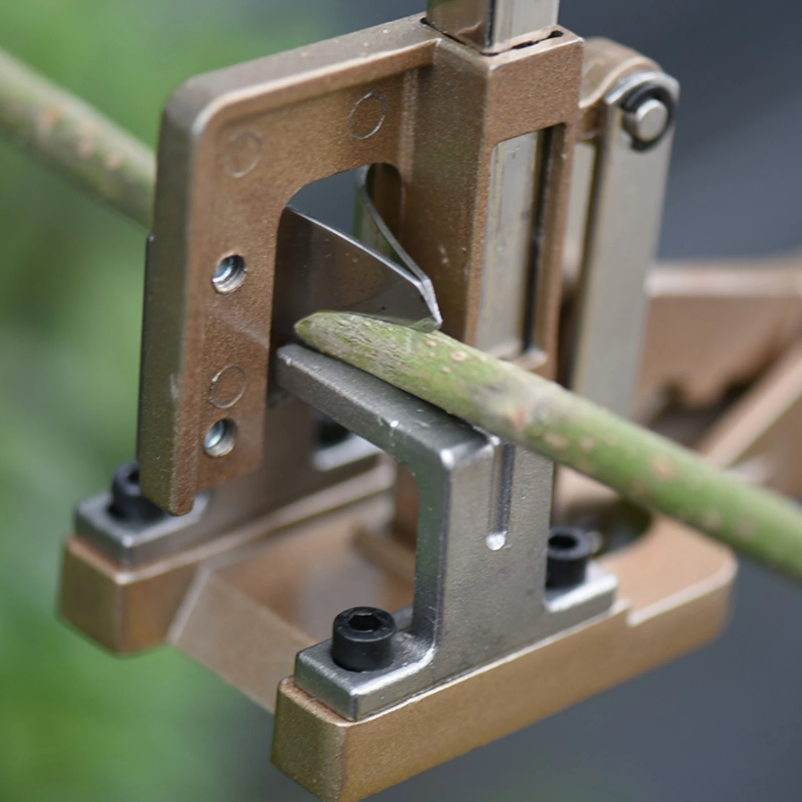 Fruit Tree Grafting Tool Plier-Design Seedling Grafting Tool Clamping Head Metal Body for Gardeners, Orchard
Fruit Tree Grafting Tool Plier-Design Seedling Grafting Tool Clamping Head Metal Body for Gardeners, Orchard