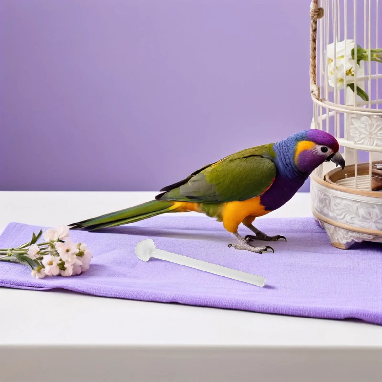 50 шт. пластиковых подставок-постелек для птиц для клеток, для мелких попугаев, волнистых попугайчиков, корелл, сменные, для стачивания когтей, интерактивные
50 шт. пластиковых подставок-постелек для птиц для клеток, для мелких попугаев, волнистых попугайчиков, корелл, сменные, для стачивания когтей, интерактивные