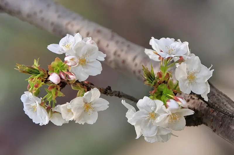 ToolKitRC ADP100 Блок питания AC-DC мощностью 100 Вт — выходной адаптер 20 В XT60 для зарядных устройств и дронов ISDT Q8/Q6 GT Power Hota HTRC SkyRC RC
ToolKitRC ADP100 Блок питания AC-DC мощностью 100 Вт — выходной адаптер 20 В XT60 для зарядных устройств и дронов ISDT Q8/Q6 GT Power Hota HTRC SkyRC RC