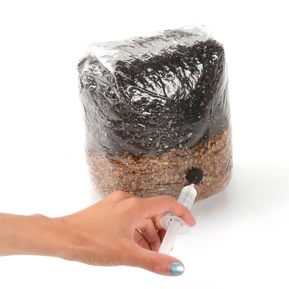 20 Pcs Mushroom Growing Bags Dust Collector Bags PP Kit Indoor Cultivation Spawn Substrate Sterilized Breathing
20 Pcs Mushroom Growing Bags Dust Collector Bags PP Kit Indoor Cultivation Spawn Substrate Sterilized Breathing