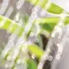 1 шт. маленькая лейка для бонсай, лейка для комнатных рассады, домашнее использование, пластиковая лейка для растений
1 шт. маленькая лейка для бонсай, лейка для комнатных рассады, домашнее использование, пластиковая лейка для растений