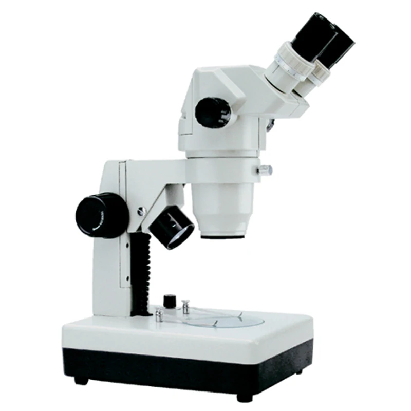 Professional Video Camera China Digital 1000x Sem Microscope Price
Professional Video Camera China Digital 1000x Sem Microscope Price