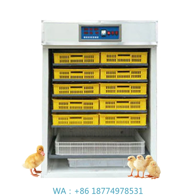 r Automatic Solar Egg Incubator for Sale500 Eggs Solar Power Incubato
r Automatic Solar Egg Incubator for Sale500 Eggs Solar Power Incubato