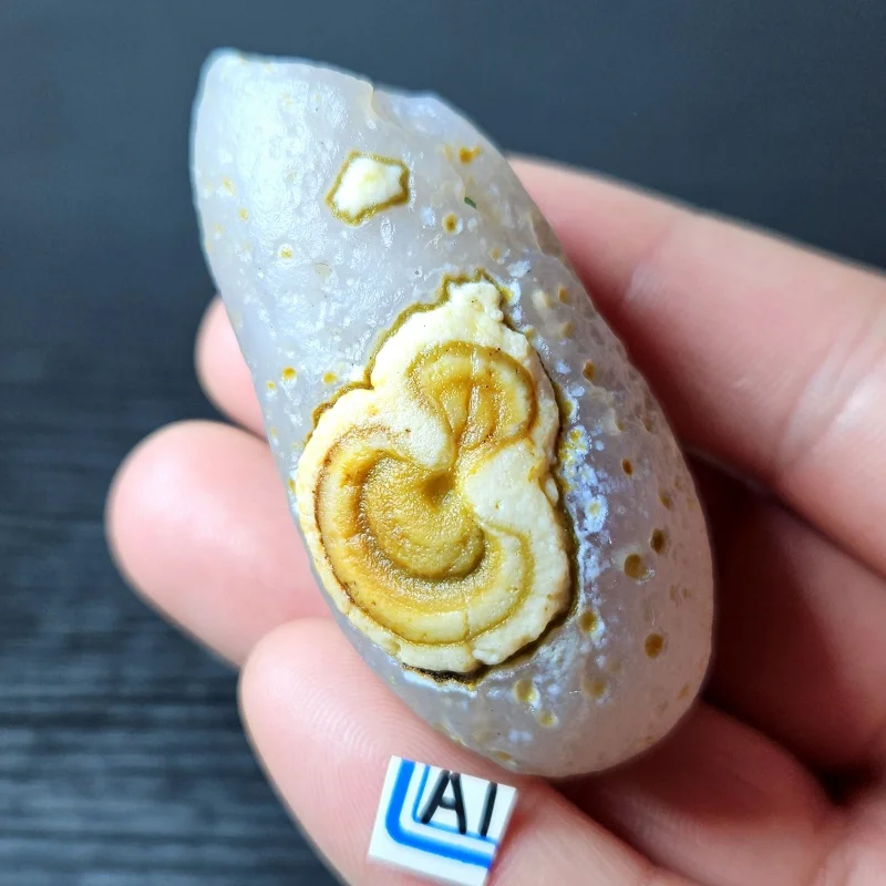 Natural Moroccan agate chrysanthemum shape mineral specimen Crystal healing office desktop decoration
Natural Moroccan agate chrysanthemum shape mineral specimen Crystal healing office desktop decoration