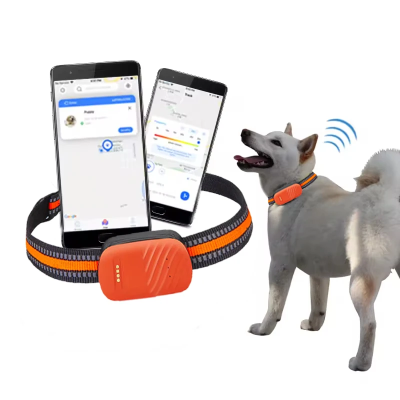 4G Waterproof Large Battery Capacity Wireless Animal Cat Dog Gps Tracking Locator Collar for Pets
4G Waterproof Large Battery Capacity Wireless Animal Cat Dog Gps Tracking Locator Collar for Pets