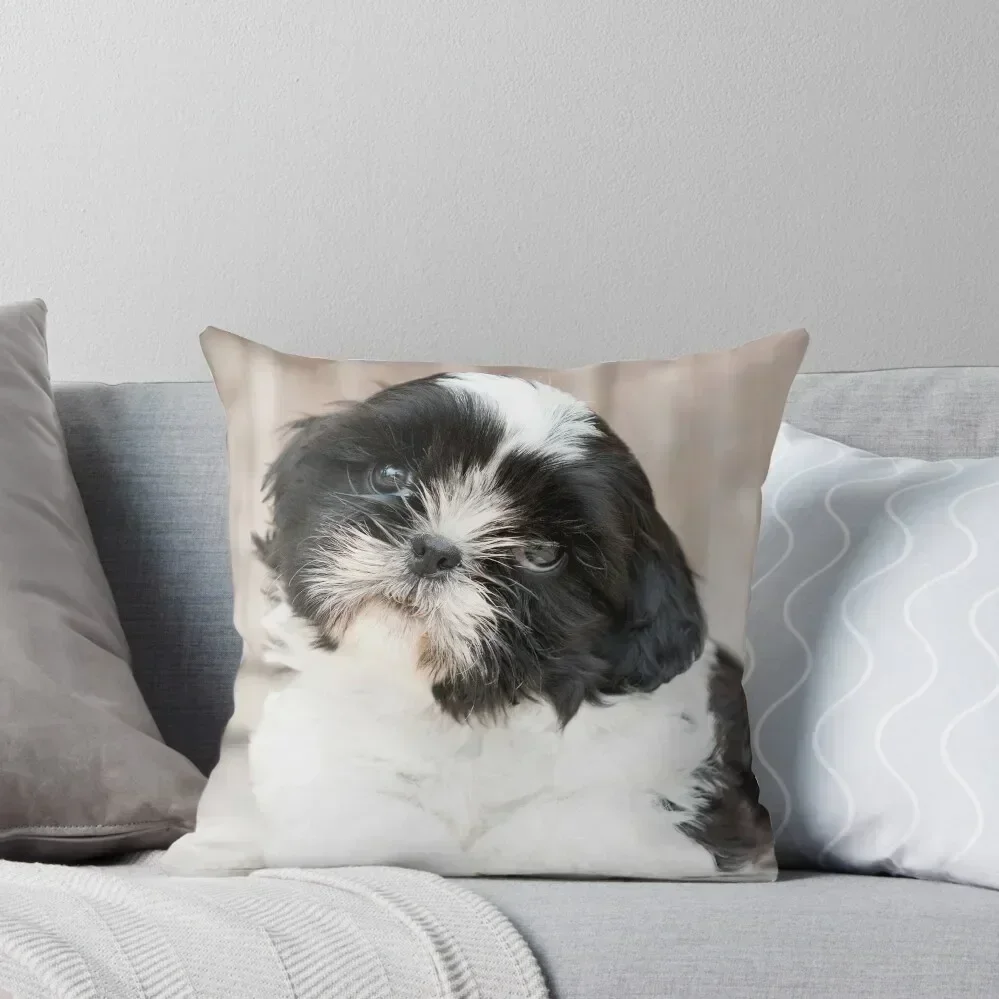 Cute Black and White Shih Tzu Puppy Throw Pillow Cusions Cover Cushion Child autumn decoration luxury home accessories pillow 
Cute Black and White Shih Tzu Puppy Throw Pillow Cusions Cover Cushion Child autumn decoration luxury home accessories pillow