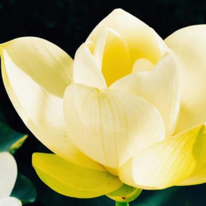 building block only friend
building block only friend