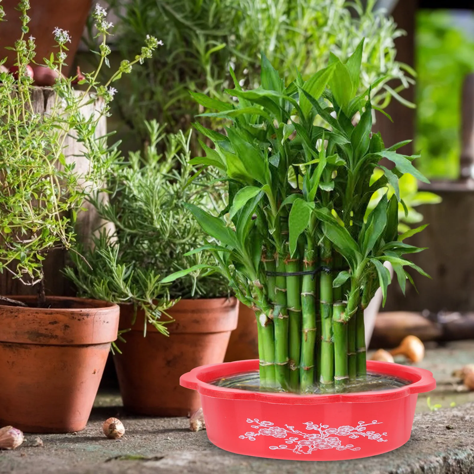 10pcs Water Lily Planting Bowl Daffodil Pot Hydroponic Plastic Flowerpot Garden Supplies For Home Office Balcony Decorative
10pcs Water Lily Planting Bowl Daffodil Pot Hydroponic Plastic Flowerpot Garden Supplies For Home Office Balcony Decorative