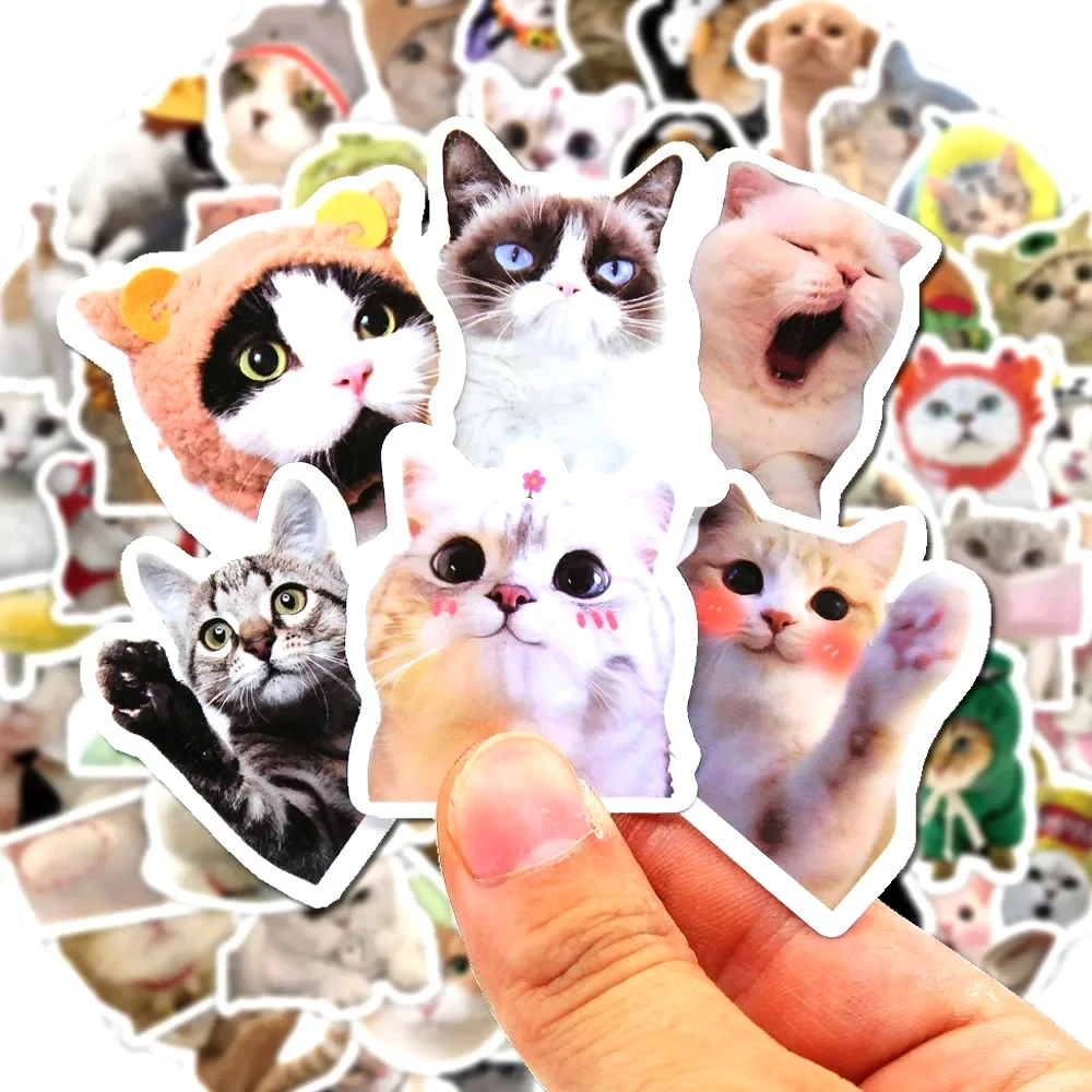 100/500/1000pcs Funny Cat Stickers Cartoon Cute Decals Toy Stationery Guitar Phone Bicycle Laptop Luggage Graffiti Kids Sticker
100/500/1000pcs Funny Cat Stickers Cartoon Cute Decals Toy Stationery Guitar Phone Bicycle Laptop Luggage Graffiti Kids Sticker
