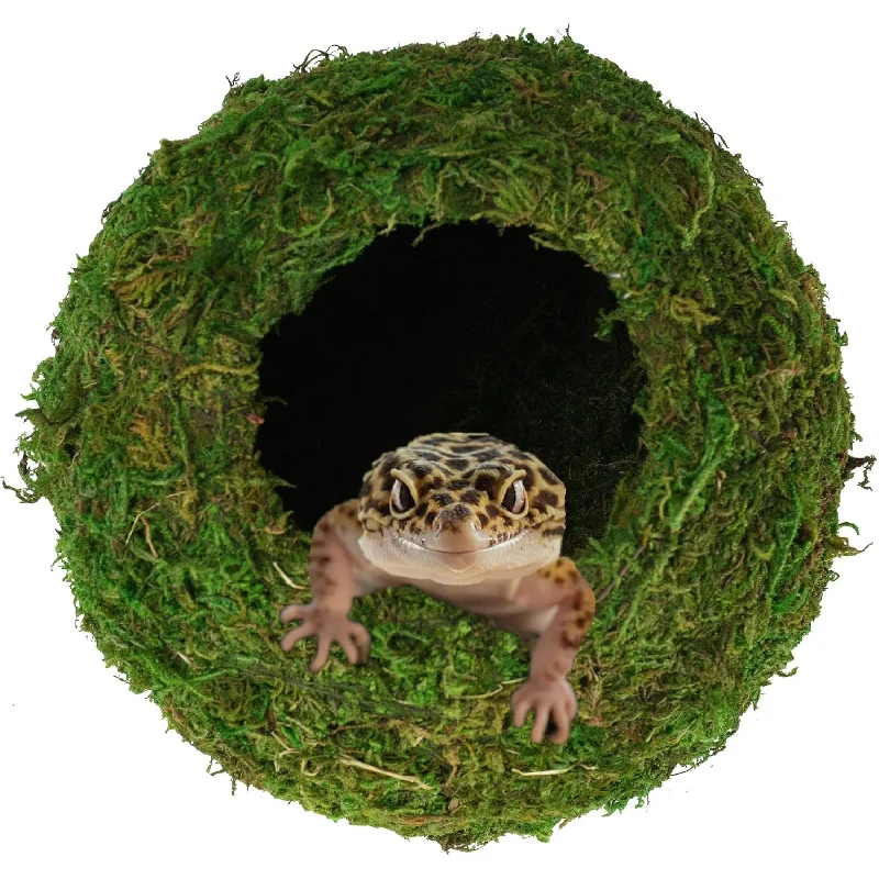 Лягушки, змеи, гекконы, привычки к дворцовой гвардии, искусственные зеленые моховые пещеры, украшения для ландшафтного дизайна в аквариуме.
Лягушки, змеи, гекконы, привычки к дворцовой гвардии, искусственные зеленые моховые пещеры, украшения для ландшафтного дизайна в аквариуме.
