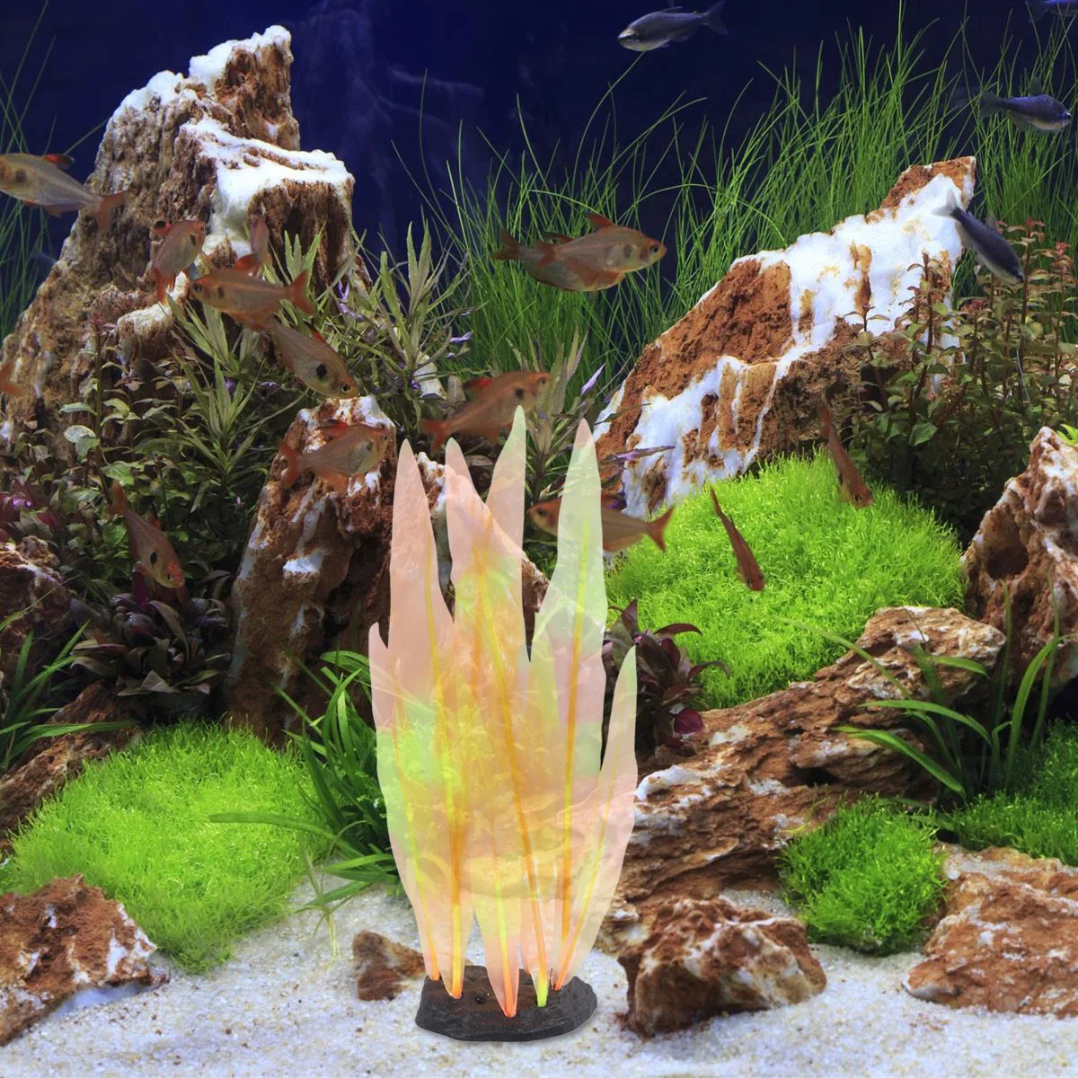 Simulated Luminous Kelp Grass Aquarium Decor L scape Accessories Fish Tank nament DIY Enhance Visual Stress Relief Gift
Simulated Luminous Kelp Grass Aquarium Decor L scape Accessories Fish Tank nament DIY Enhance Visual Stress Relief Gift
