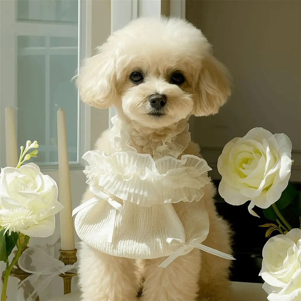 Cute Pet White Lace Camisole Soft Thin Design Summer Pet Vest Breathable Cat Princess Skirt for Pomeranian Chihuahua
Cute Pet White Lace Camisole Soft Thin Design Summer Pet Vest Breathable Cat Princess Skirt for Pomeranian Chihuahua