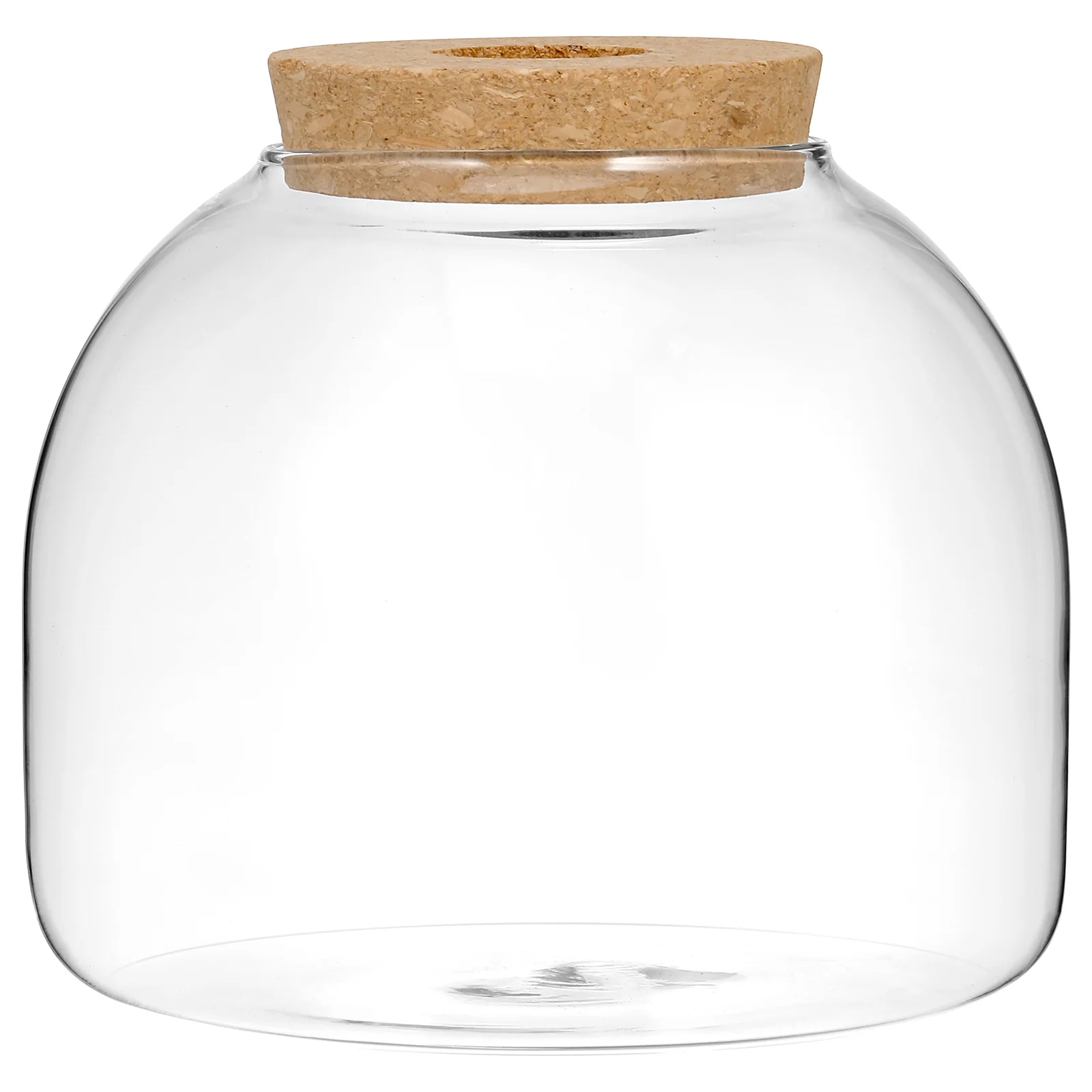 Eco Bottle naments Glass Terrariums for Plants Flowerpot Ecosystem Jar Transparent Moss Hydroponic Container Bedroom Living Room
Eco Bottle naments Glass Terrariums for Plants Flowerpot Ecosystem Jar Transparent Moss Hydroponic Container Bedroom Living Room