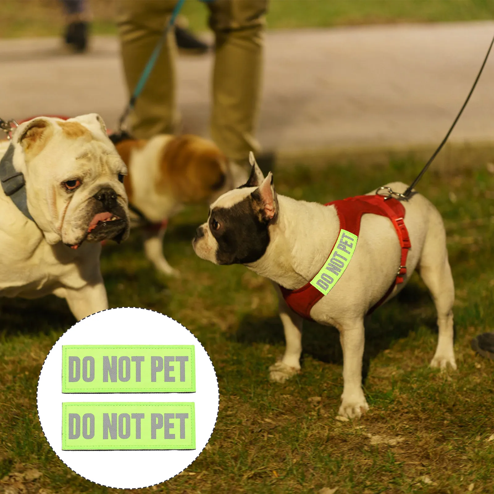 2pcs Reflective Service Dog Patches DO NOT PET Green Adhesive Harness Cloth Stickers for Backpacks Dog Vest Safe Night Visible
2pcs Reflective Service Dog Patches DO NOT PET Green Adhesive Harness Cloth Stickers for Backpacks Dog Vest Safe Night Visible