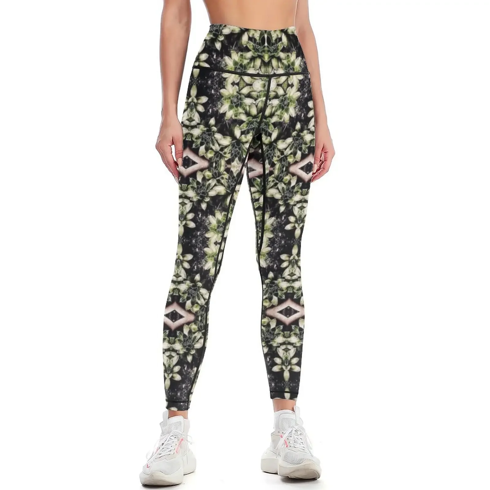 Heirloom Soble Succulents Leggings sport pants legging pants raises butt Pants sport push up legging Womens Leggings
Heirloom Soble Succulents Leggings sport pants legging pants raises butt Pants sport push up legging Womens Leggings