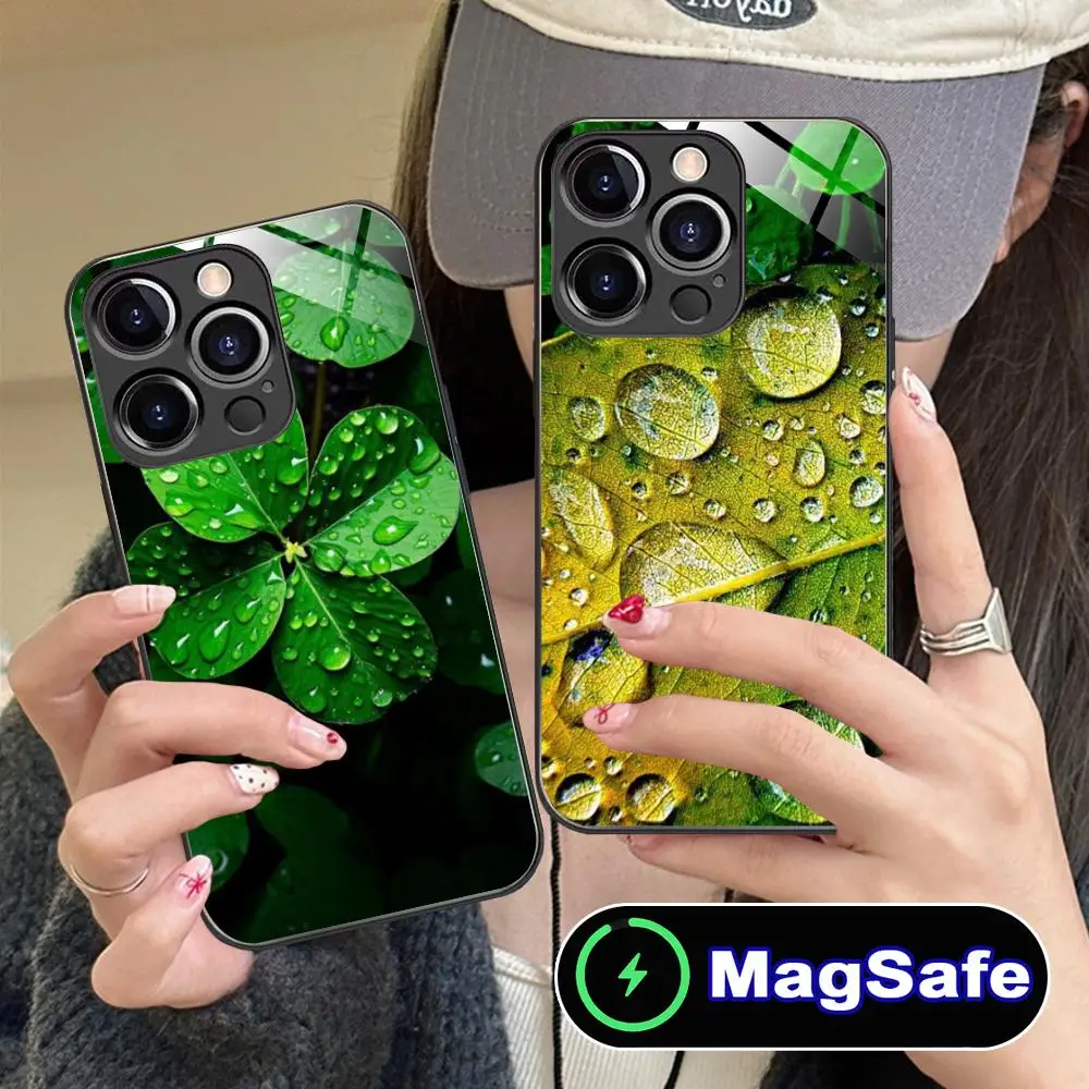 Чехол для телефона с рисунком листьев и цветов для iPhone 17 16 15 14 13 12 11 Air Pro Max Plus Mini, стеклянный, цветной, с поддержкой MagSafe
Чехол для телефона с рисунком листьев и цветов для iPhone 17 16 15 14 13 12 11 Air Pro Max Plus Mini, стеклянный, цветной, с поддержкой MagSafe