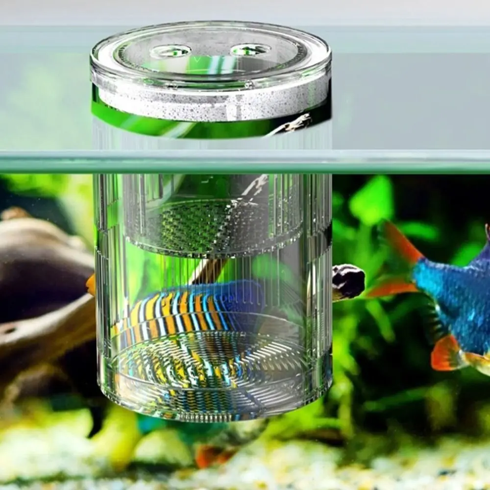 Acrylic Floating Fish Breeding Isolation Box Floating Large Capacity Fish Isolation Box Prevent from Climbing Transparent
Acrylic Floating Fish Breeding Isolation Box Floating Large Capacity Fish Isolation Box Prevent from Climbing Transparent