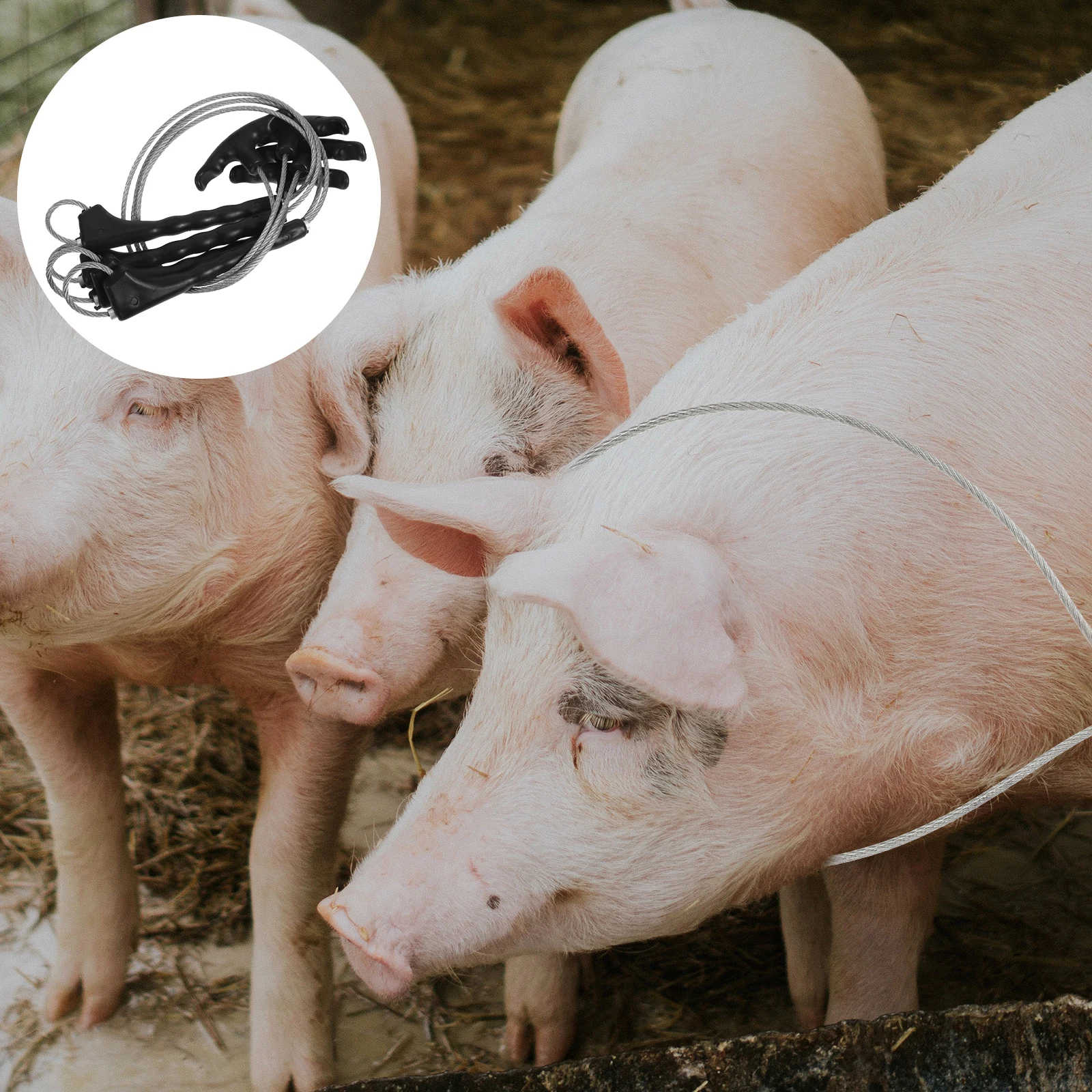 4pcs Pig Rope Black Equipment Steel Wire Self-Locking Durable Livestock Pig Farm Equipment Snare Holder
4pcs Pig Rope Black Equipment Steel Wire Self-Locking Durable Livestock Pig Farm Equipment Snare Holder