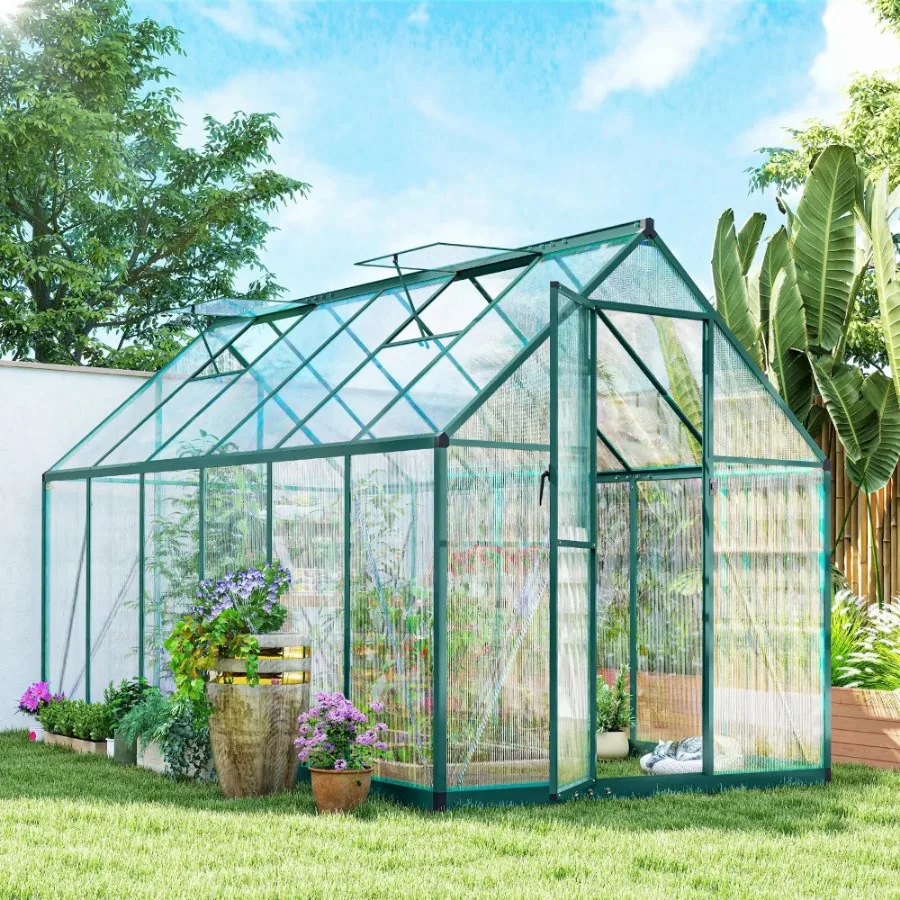 House Greenhouse, 2026 year
House Greenhouse, 2026 year