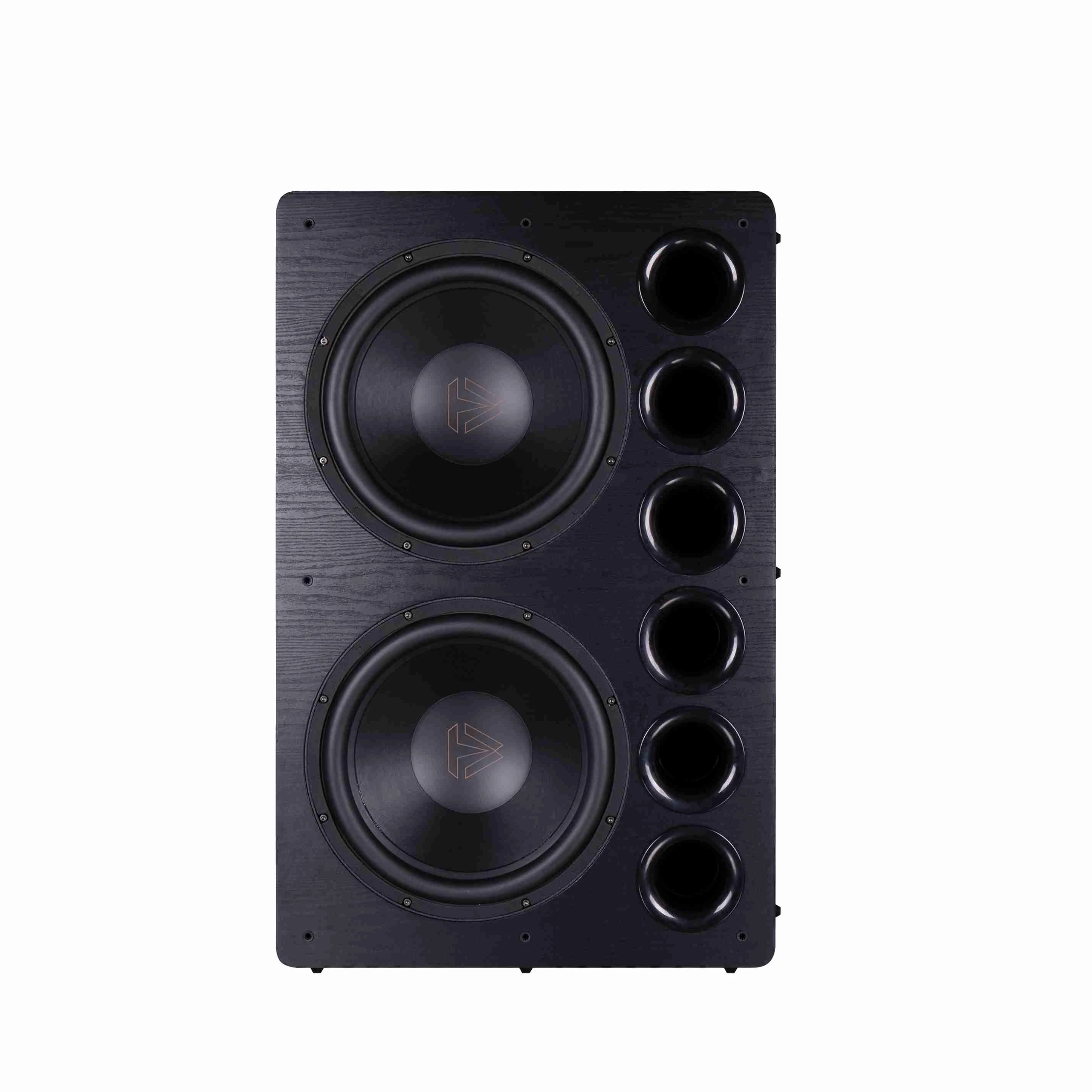 Tonewinner SW-D8000PRO 15-inch Dual Drivers Active Subwoofers With Class D Amplifier
Tonewinner SW-D8000PRO 15-inch Dual Drivers Active Subwoofers With Class D Amplifier