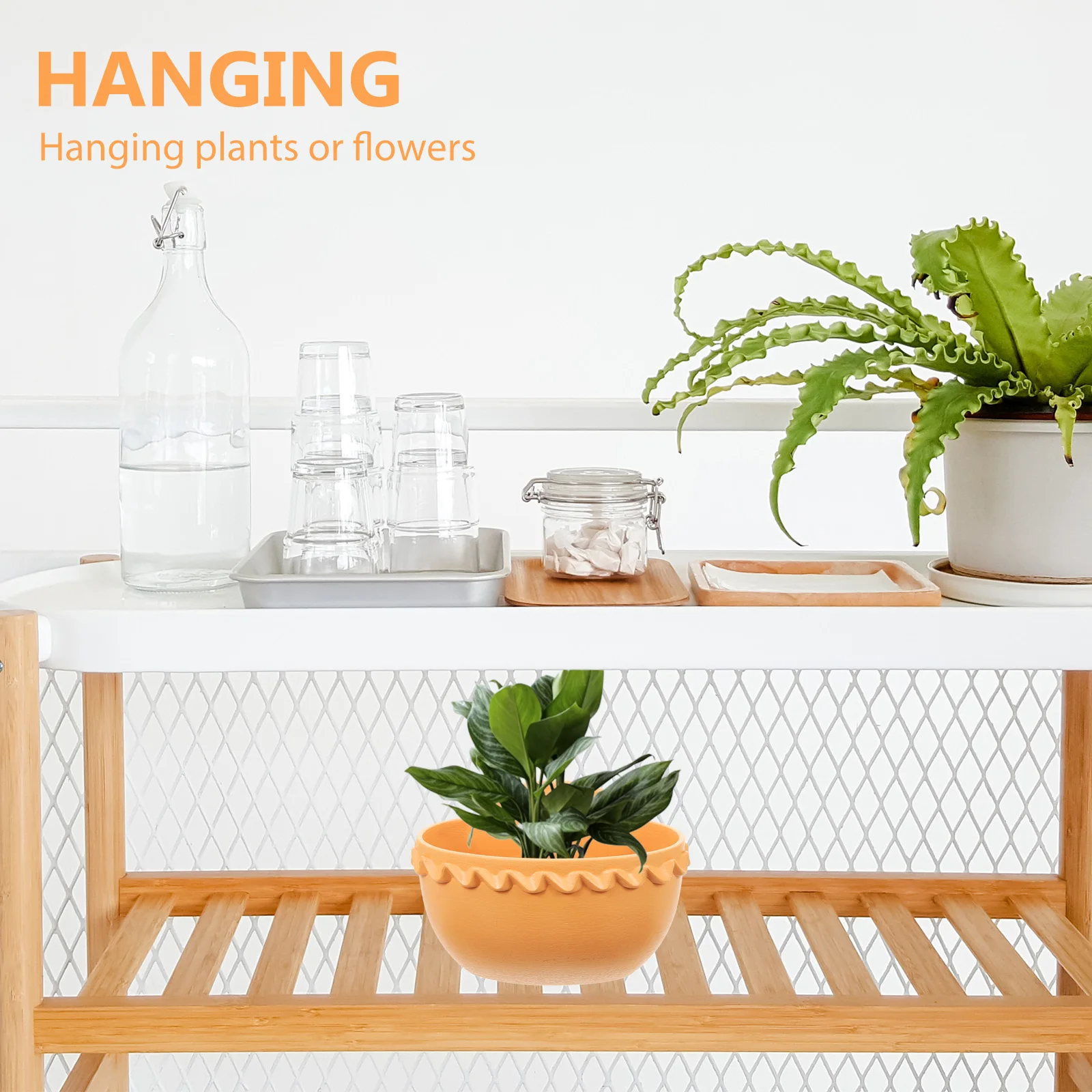 2pcs Wall Hanging Flower Pot Thickened Planter Indoor Small Plastic Storage Basket Hanging Basket EcoFriendly Durable Safe Use
2pcs Wall Hanging Flower Pot Thickened Planter Indoor Small Plastic Storage Basket Hanging Basket EcoFriendly Durable Safe Use