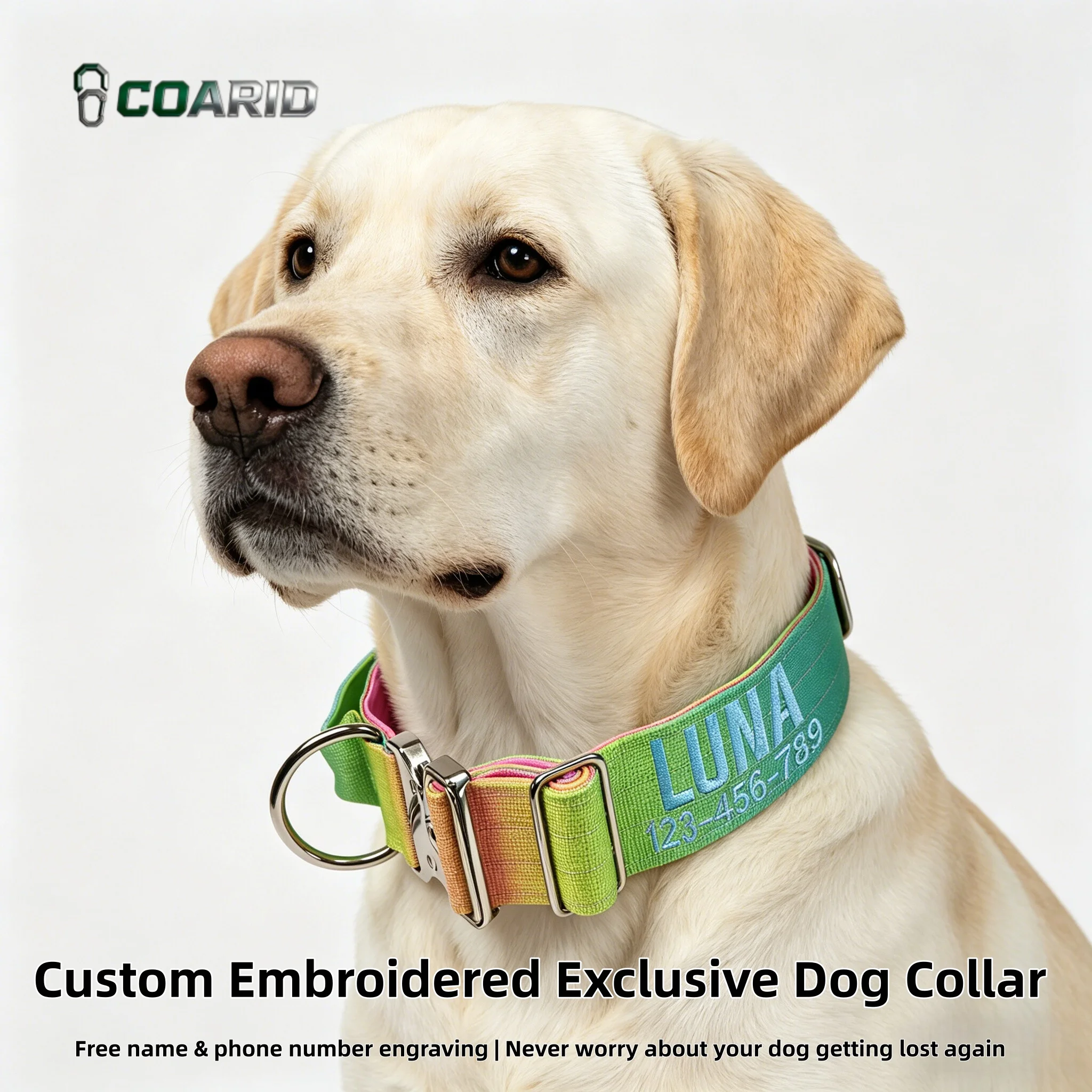 CustomGradientDogCollar12ColorsKnittedPersonalizedPetCollarwithNameEngravedHeavy Duty Quick Release Buckle for Medium Large Dogs
CustomGradientDogCollar12ColorsKnittedPersonalizedPetCollarwithNameEngravedHeavy Duty Quick Release Buckle for Medium Large Dogs