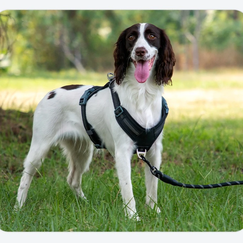Unrestricted dog harness, vest style vest dog walking equipment, anti slip collar for small and medium-sized dogs
Unrestricted dog harness, vest style vest dog walking equipment, anti slip collar for small and medium-sized dogs