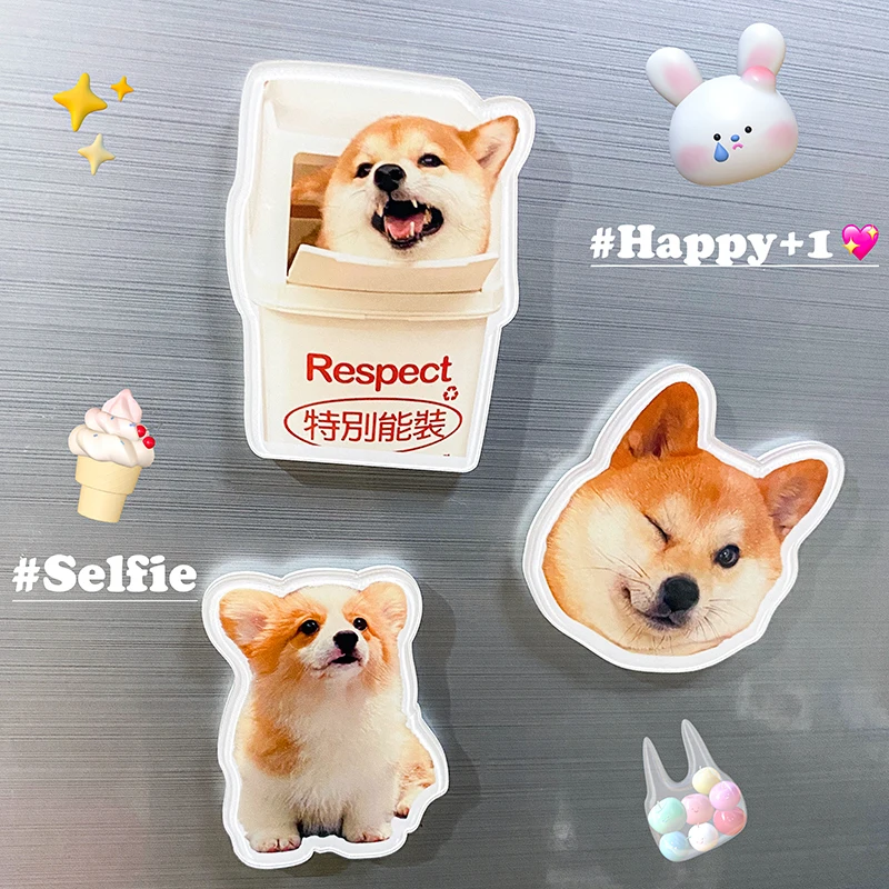 Pet avatar acrylic refrigerator sticker custom magnetic photo DIY cat dog homemade peripheral magnet custom 
Pet avatar acrylic refrigerator sticker custom magnetic photo DIY cat dog homemade peripheral magnet custom