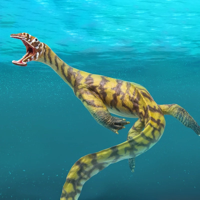 Имитационная модель доисторического динозавра 33, зубчатый дракон Ксавса, игрушка ручной работы, коллекционный орнамент, праздничный подарок друзьям
Имитационная модель доисторического динозавра 33, зубчатый дракон Ксавса, игрушка ручной работы, коллекционный орнамент, праздничный подарок друзьям