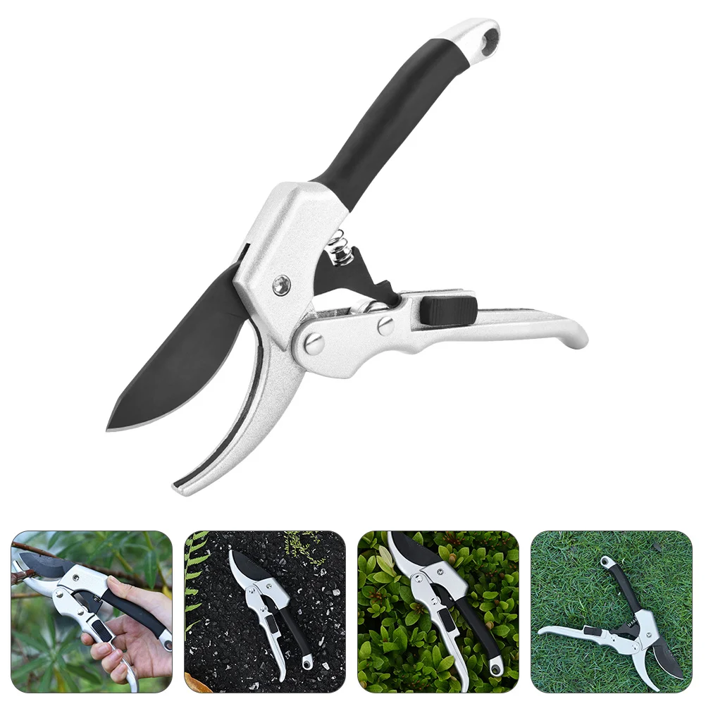 Premium Pruning Shears Ergonomic Non-Slip Handle Garden Tool For Branch Hedge Orchard Trimming Durable Rust-Resistant Smooth
Premium Pruning Shears Ergonomic Non-Slip Handle Garden Tool For Branch Hedge Orchard Trimming Durable Rust-Resistant Smooth